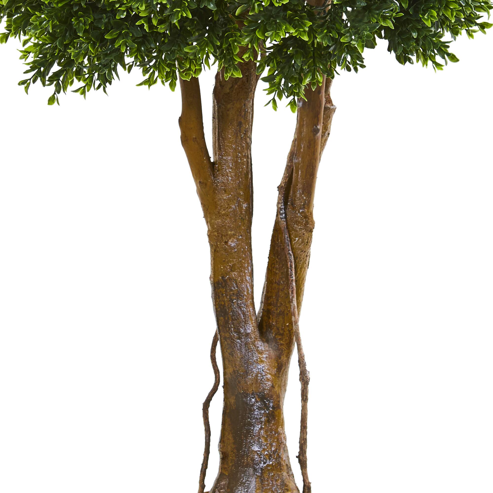 3.8ft. Potted Boxwood Topiary Tree